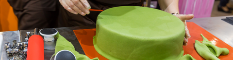 Fondant & Gum Paste