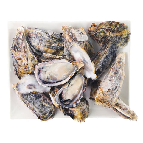 FRZ OYSTER IN SHELL SASHIMI 40/59G 12PC/PAC (#109850)