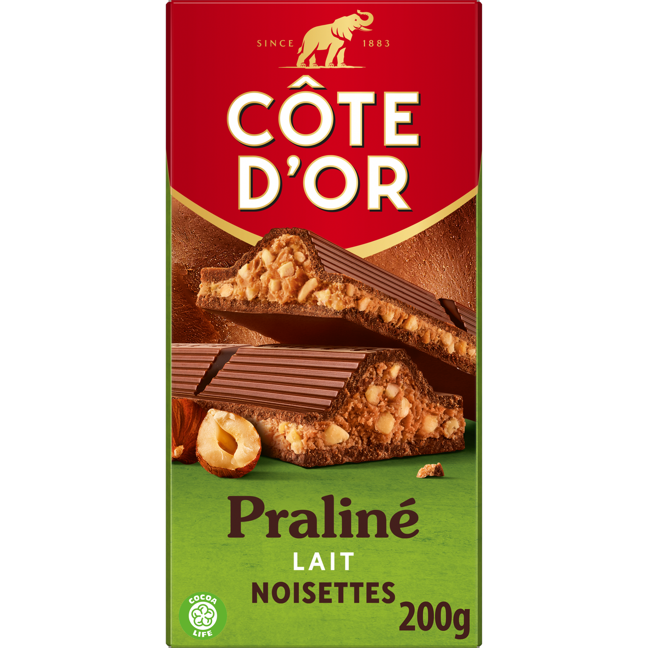 MILK CHOCOLATE PRALINE (