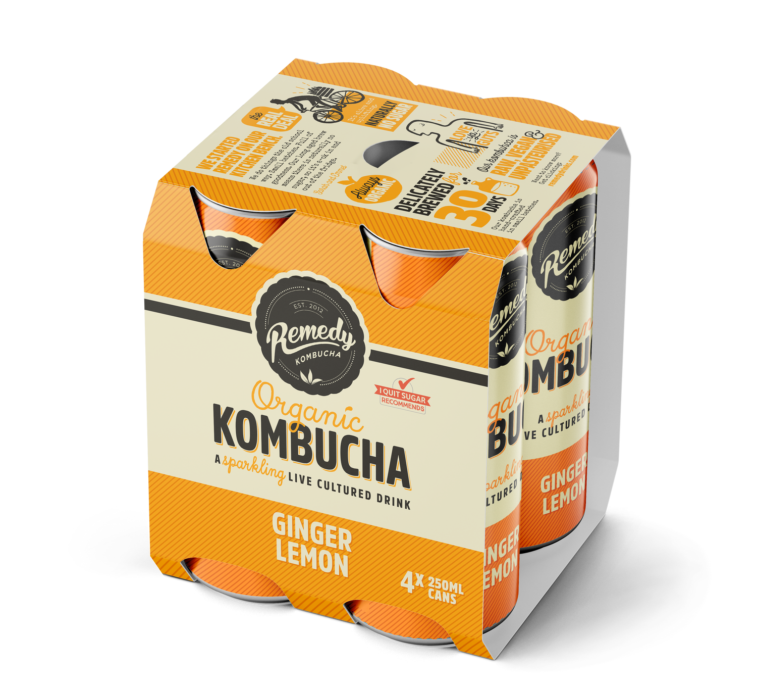 GINGER LEMON KOMBUCHA 250ML (