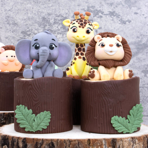 Cake Making & Decorating