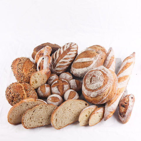 Nghệ thuật làm bánh mì - Bột Poolish (12 &amp; 13 tháng 8) (#PATTSV0005)